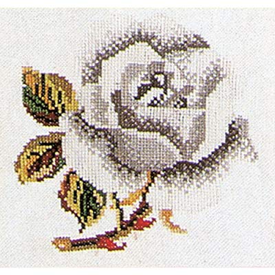 WHITE ROSE-COUNTED CROSS STITCH - Thea Gouverneur - SnR Star